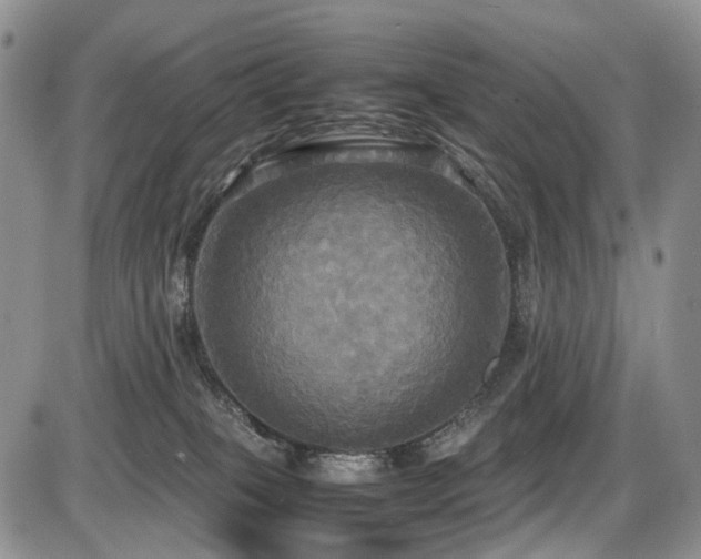 X0000087540085200704271243