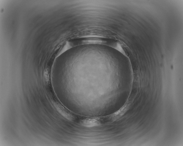 X0000087540086200704271243
