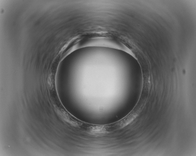 X0000087540088200704271243