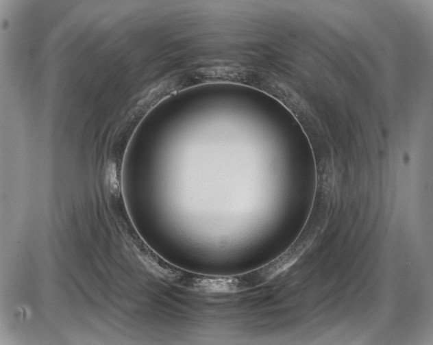 X0000087540089200704271243