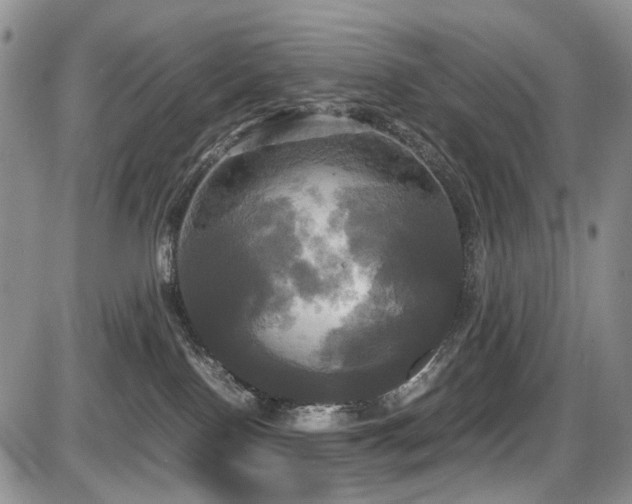 X0000087540090200704271243