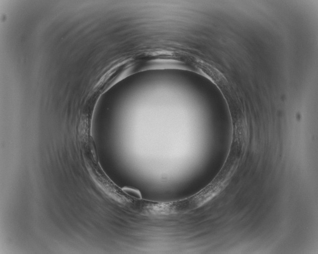 X0000087540092200704271243