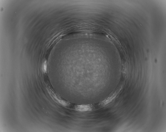X0000087540095200704271243