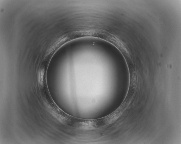 X0000087540118200704271242
