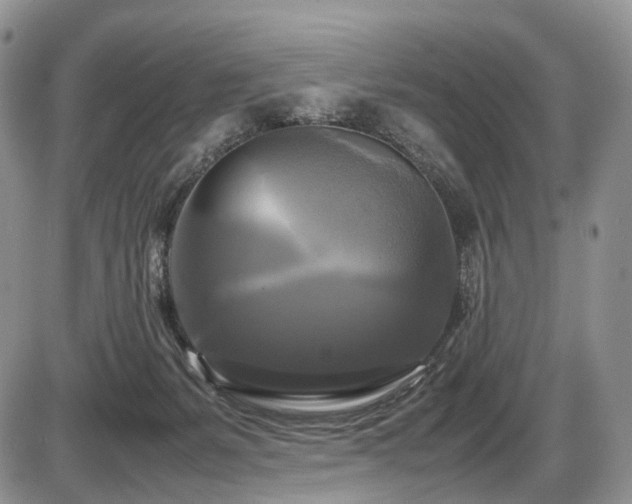 X0000087540127200704271242