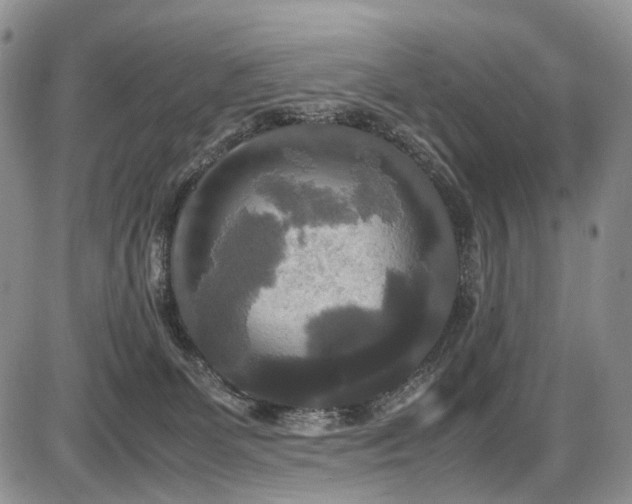 X0000087540131200704271242