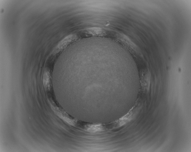 X0000087540132200704271241