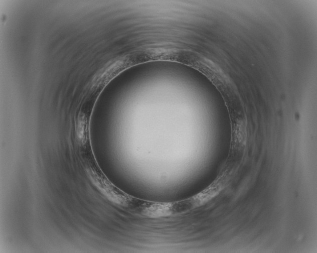 X0000087540138200704271241