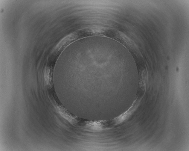 X0000087540140200704271241