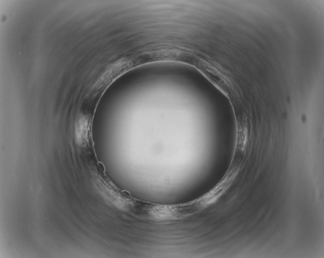 X0000087540142200704271241