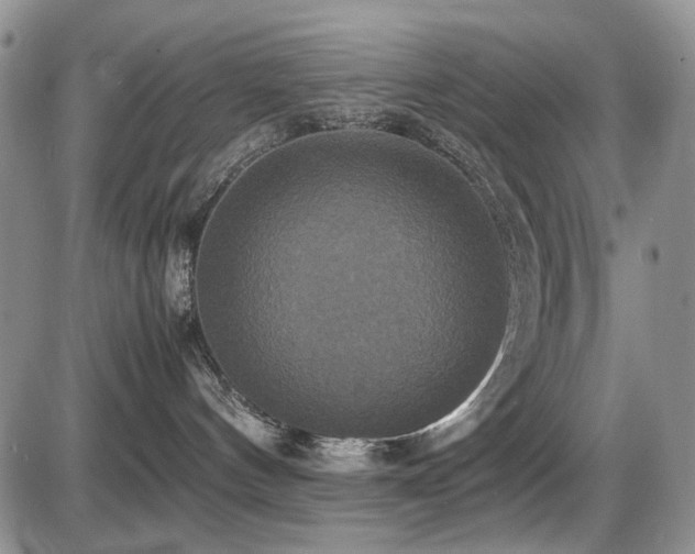 X0000087540144200704271241
