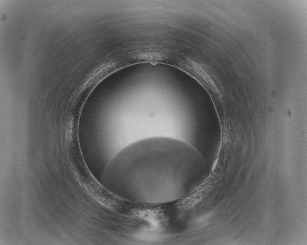 X0000087540163200704271241