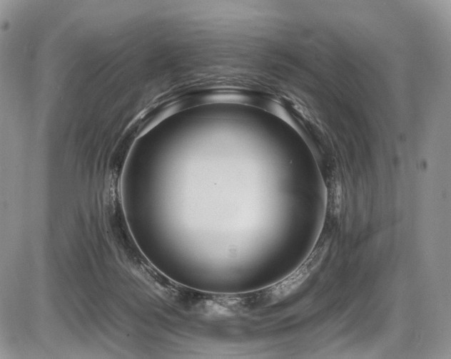 X0000087540172200704271241