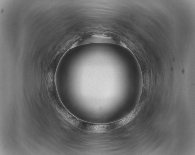X0000087540184200704271241