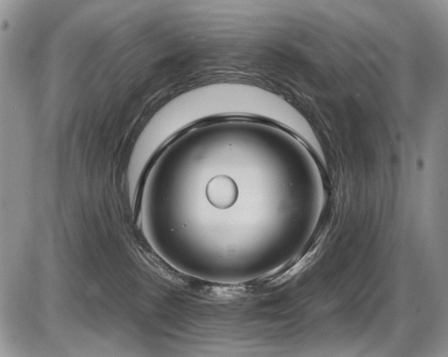 X0000087540188200704271241