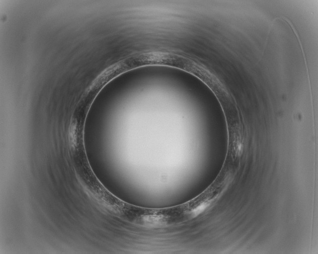 X0000087540216200704271240