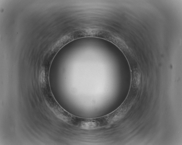 X0000087540220200704271240