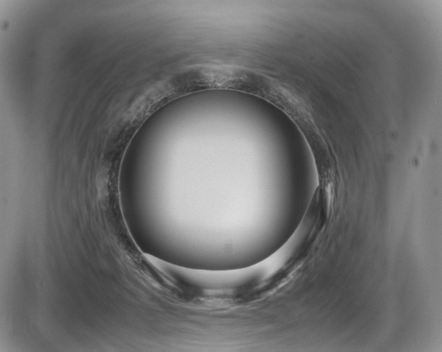 X0000087540221200704271240