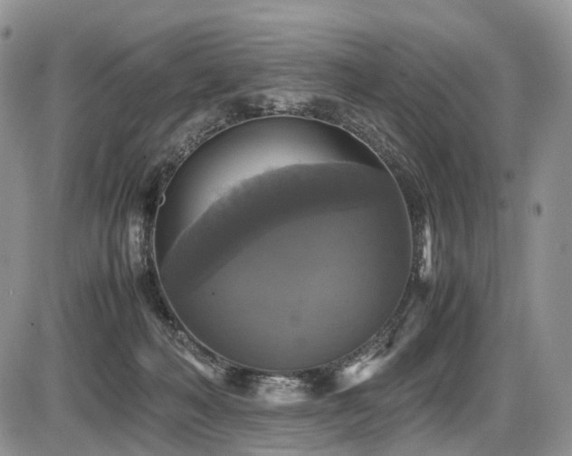 X0000087540222200704271240