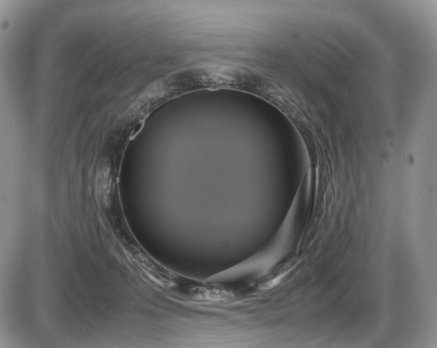 X0000087540223200704271240