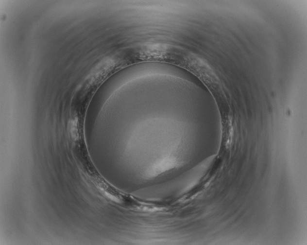 X0000087540224200704271240