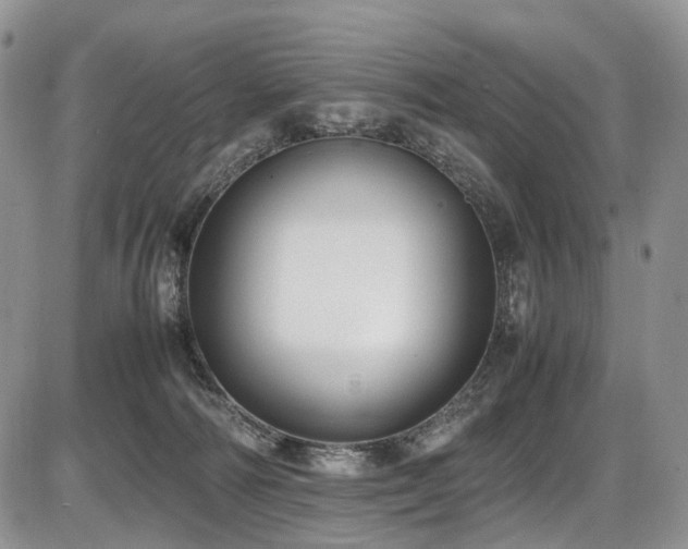 X0000087540226200704271240