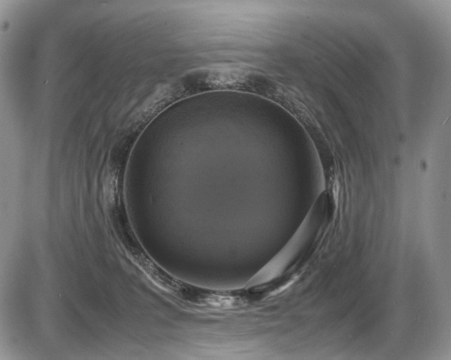 X0000087540227200704271240