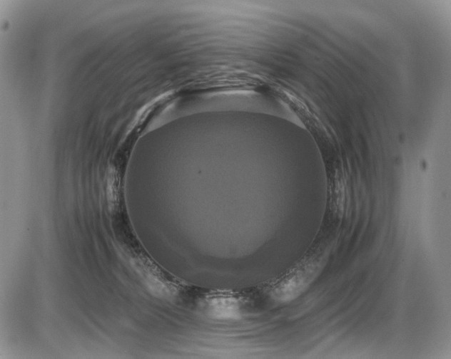 X0000087540228200704271240