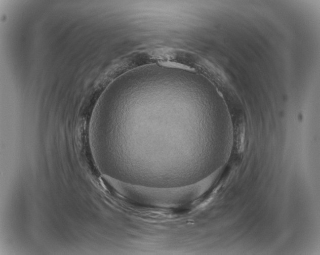X0000087540229200704271240
