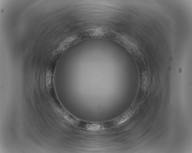 X0000087540230200704271240