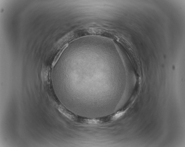 X0000087540233200704271240