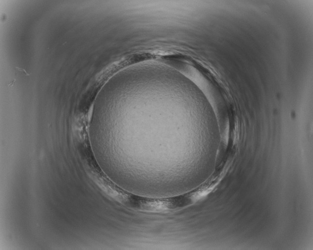 X0000087540237200704271240