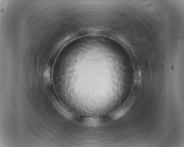 X0000087540238200704271240