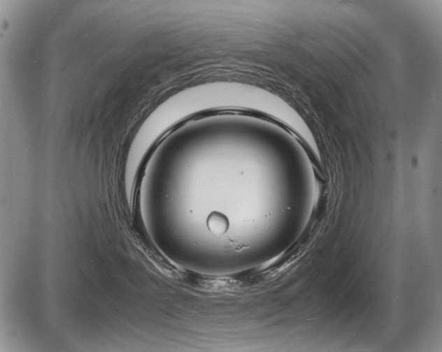 X0000087540239200704271240