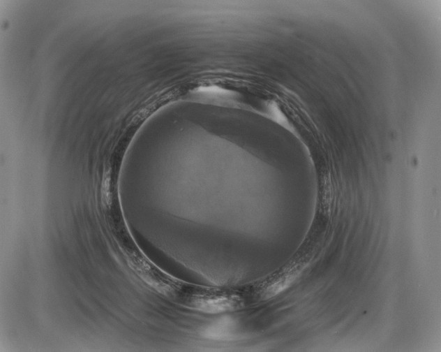 X0000087540267200704271239