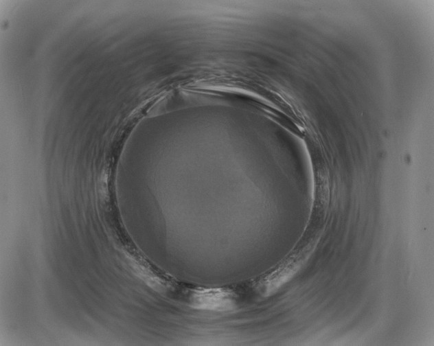 X0000087540269200704271239