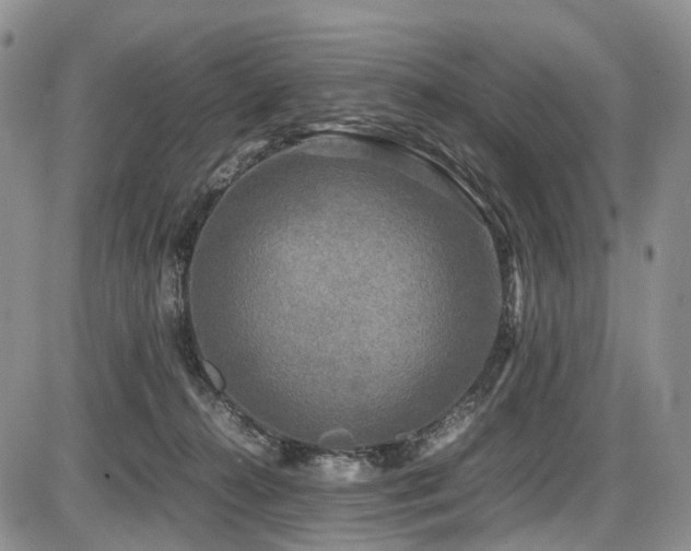 X0000087540272200704271239