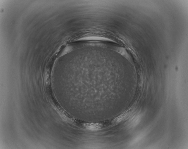 X0000087540273200704271239