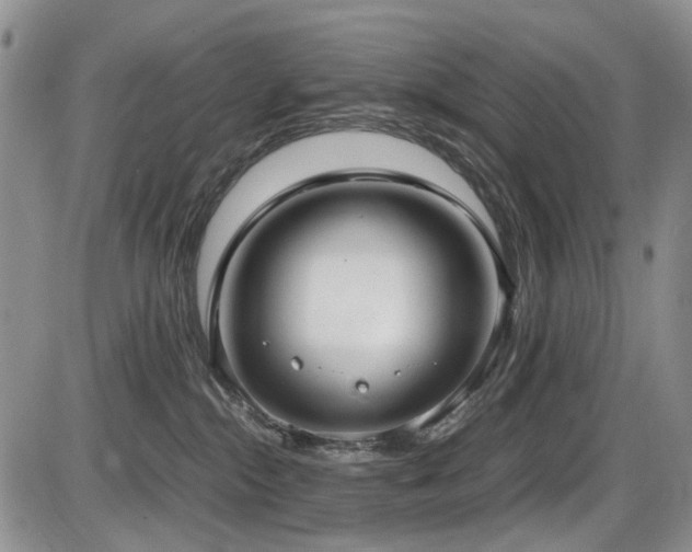 X0000087540284200704271240