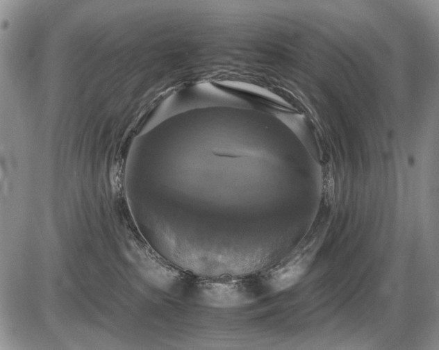 X0000087540285200704271240