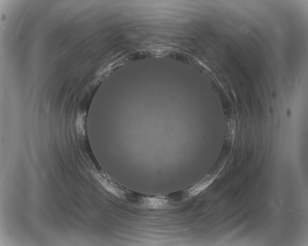 X0000087540286200704271240