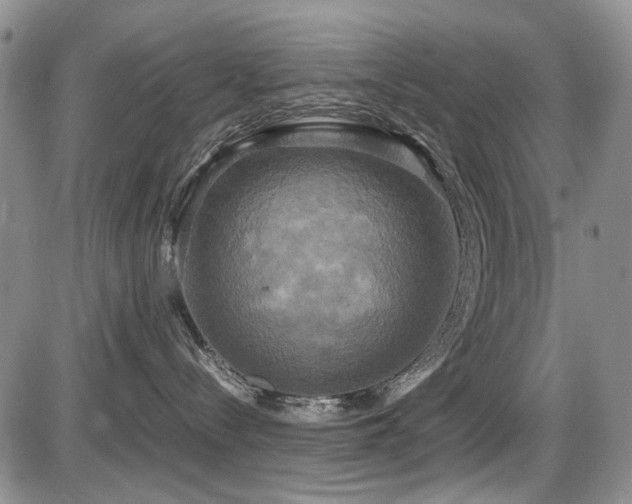 X0000087540288200704271240