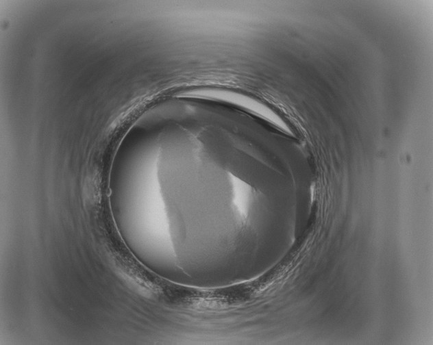 X0000087540303200704271239