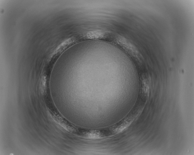 X0000087540308200704271239