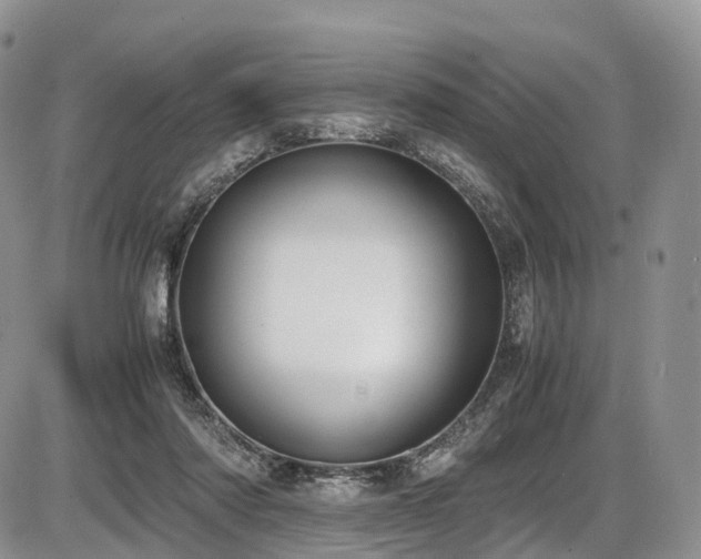 X0000087540310200704271239