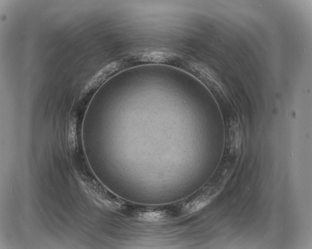 X0000087540312200704271239