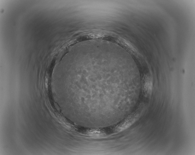 X0000087540315200704271238
