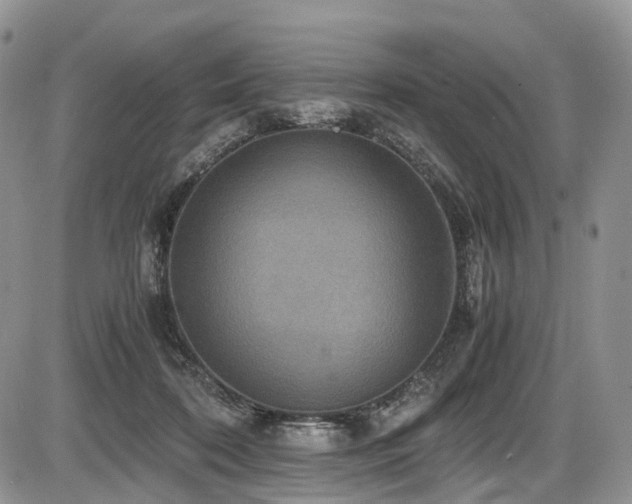 X0000087540316200704271238