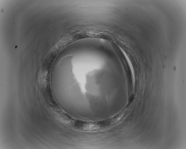 X0000087540319200704271238