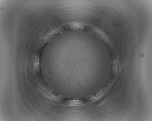 X0000087540320200704271238